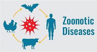 Read more about the article How Wrong Attitudes Expose Man to Zoonotic Spillover in Sierra Leone