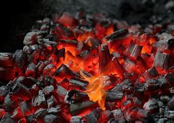 Read more about the article Charcoal production and its huge environmental implications 