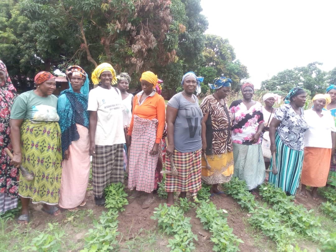 Read more about the article Sukuta Women’s Agriculture Gardeners: A Legacy of Passion, Unity, and Resilience