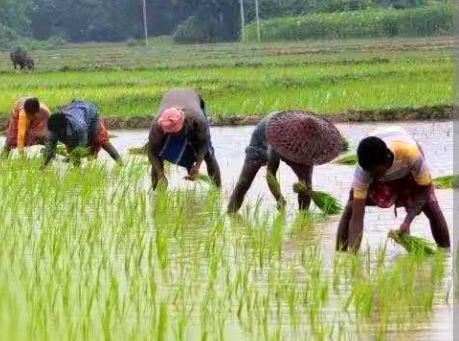 Read more about the article Farmers Explain Impact of Flooding