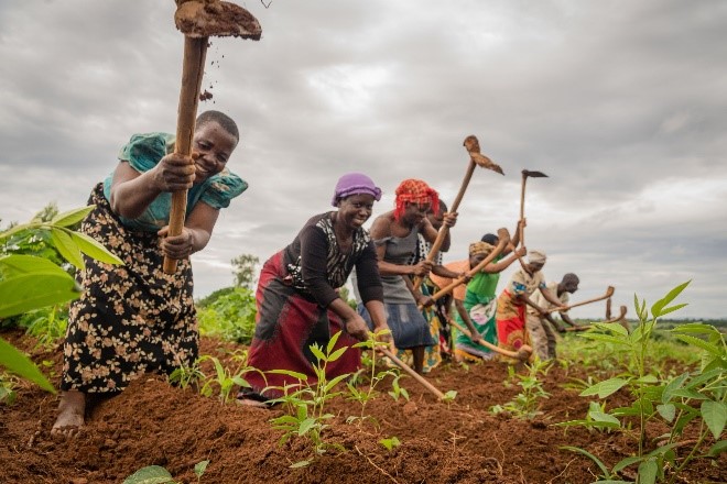 Read more about the article How Female Farmers Are Transforming Agric. Initiatives