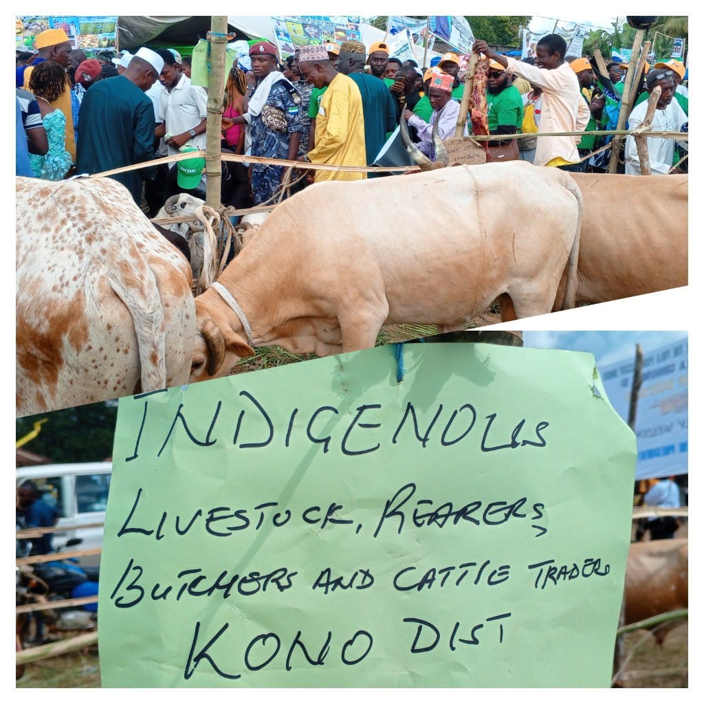 Read more about the article Indigenous livestock rears, butchers & cattle traders poised to increase meat production 