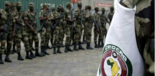 Read more about the article ECOWAS Finalizes Logistics for Standby Force Depot in Sierra Leone