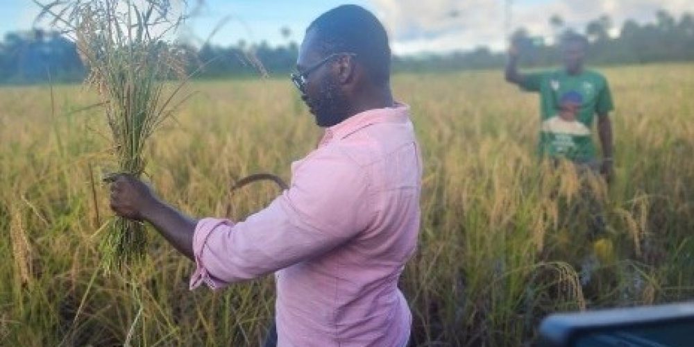 Agriculture Minister Rallies Farmers, Schools & Stakeholders in Kenema Ahead of World Food Day