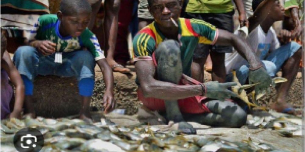 Child Labor In Tombo Community