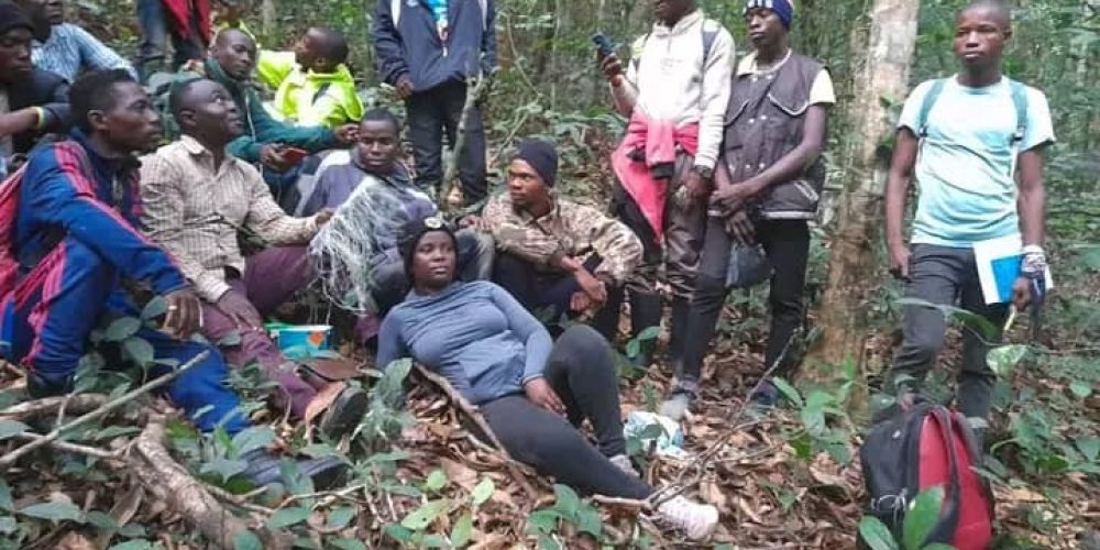 Climate-Resilient Coffee Species Offers Hope for Global Industry