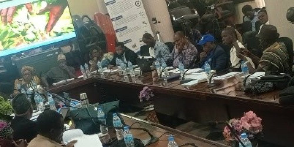 Dr. Theresa Tenneh Dick Unveils Ambitious Agriculture Strategy for 2026–2028, Budget