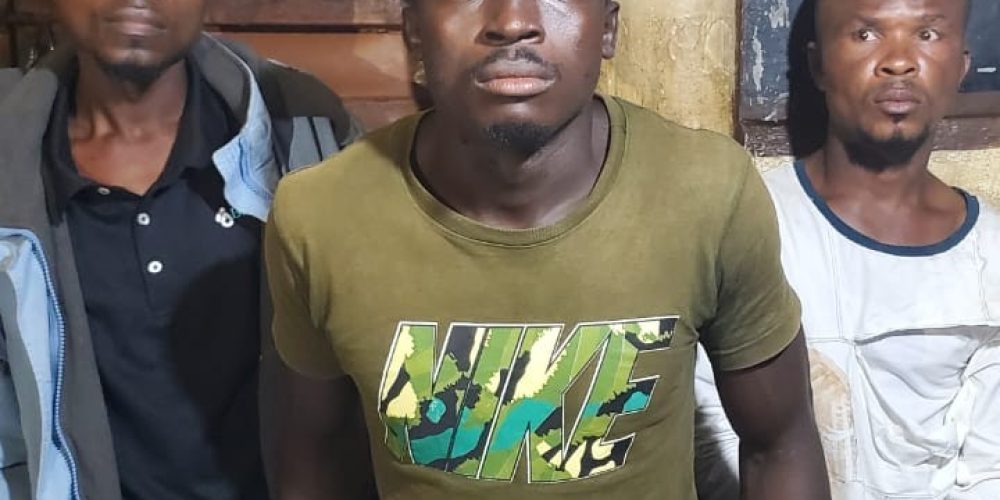 Farmer Sentenced to Six Months in Jail for Larceny