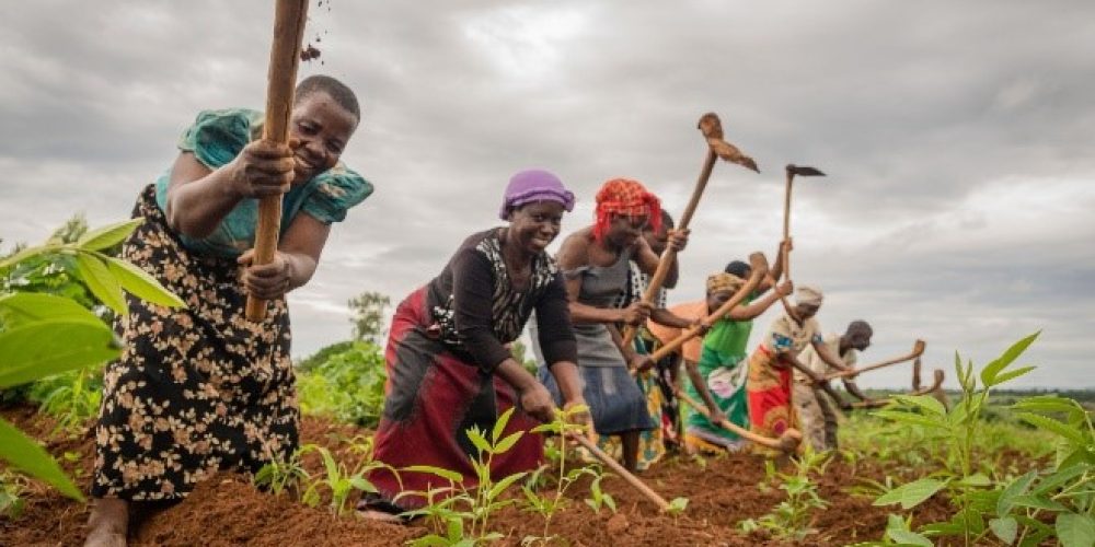 How Female Farmers Are