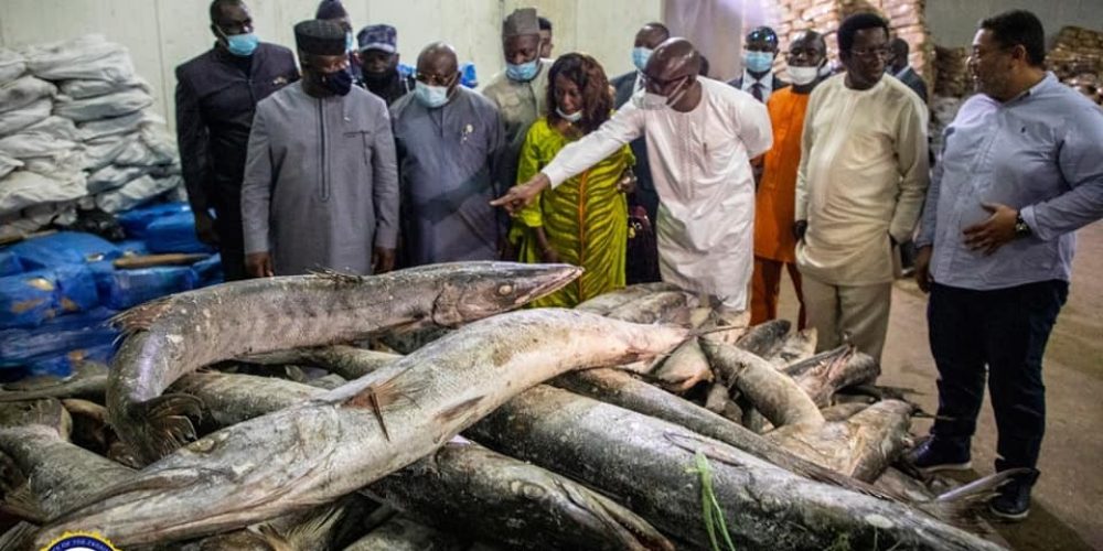 Illegal Fishing Threatens Sierra Leone’s Fisheries Revenue, Says Acting Director