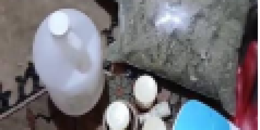 Police Intensify War on Drugs with Latest Bust in