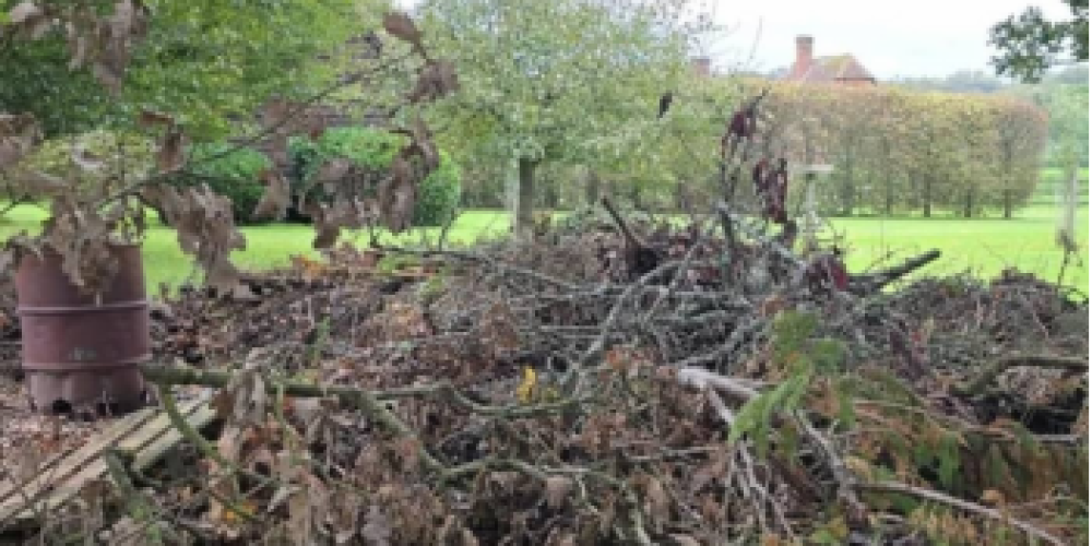 Sierra Leone's Forests