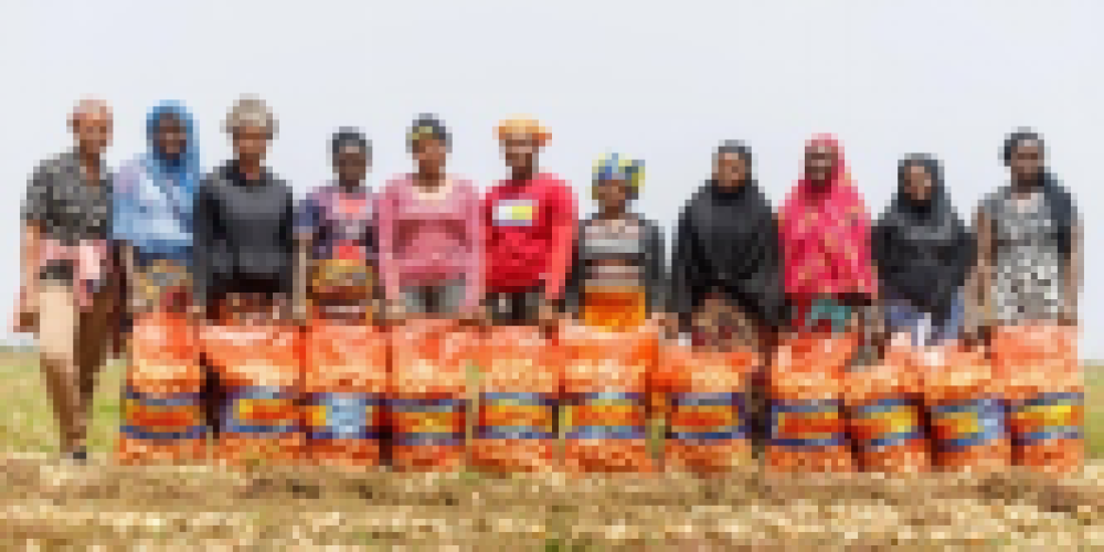 Sierra Leone’s Onion Revolution - VP Juldeh Celebrates $12M IFC Deal with Pee Cee Holdings for Food Security