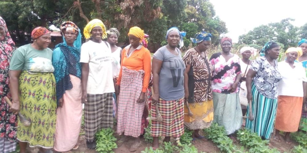 Sukuta Women Agriculture Gardeners