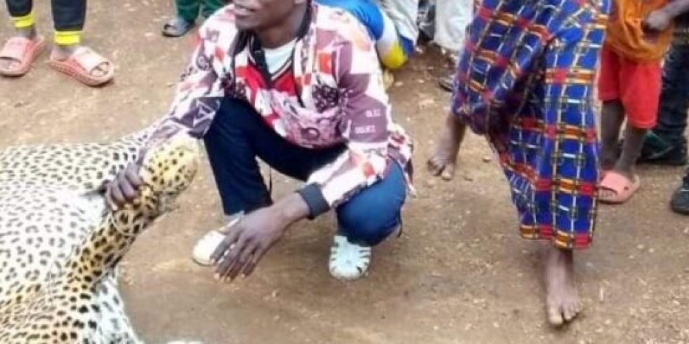 Tourism ministry Condemns