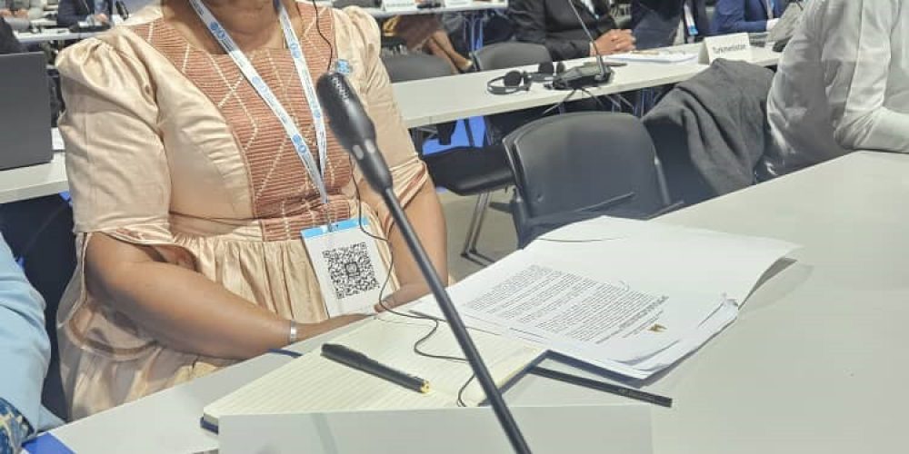 Water Minister Puches