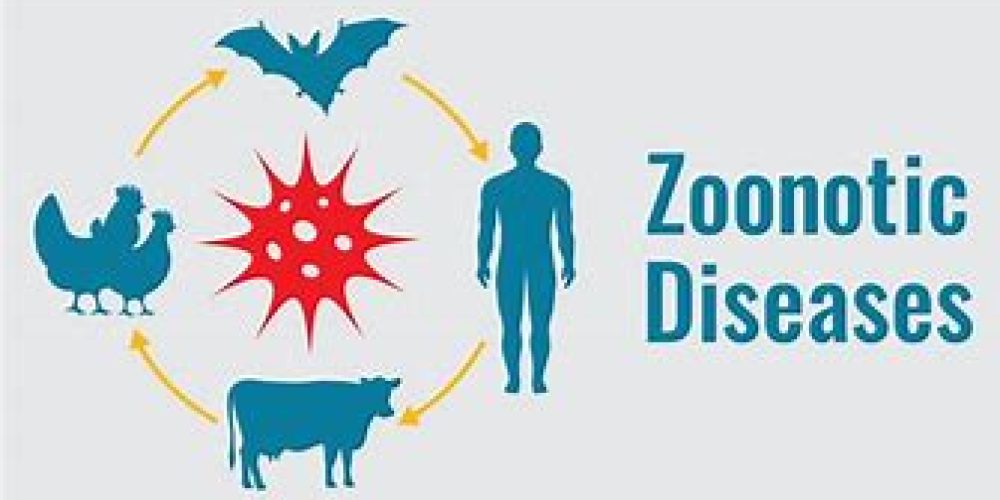 zoonotic disease